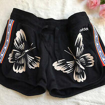 adidas butterfly shorts
