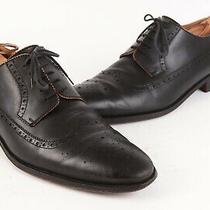 bally wingtip shoes