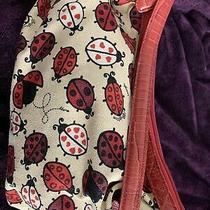 brighton ladybug purse