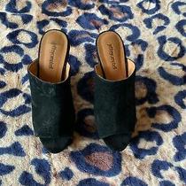 jeffrey campbell tori mules