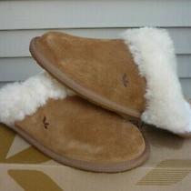 womens ugg chickaree bootie chestnut