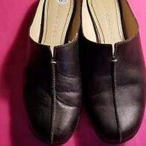 ladies navy flat shoes size 6