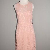 hobbs carly dress size 16