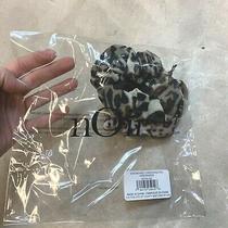 Noir Jewelry Ombre Leopard Print Scrunchies Set of 3 Brand New in Package 25 Photo