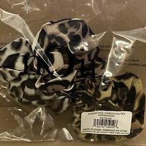 Noir Jewelry Ombre Leopard Scrunchies Set of 3 Fabfitfun New Sealed Freeship Photo