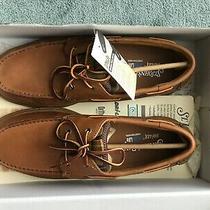 st johns bay mens boat shoes