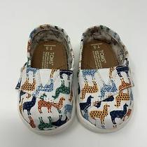 llama shoes toms